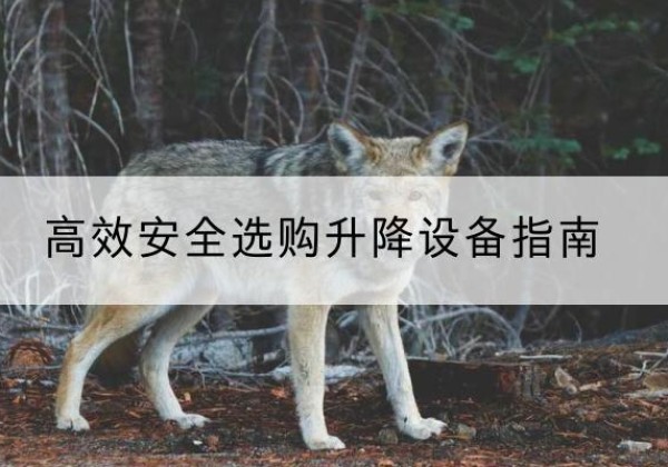 沙依巴克升降货梯厂家推荐-*安全选购升降设备指南