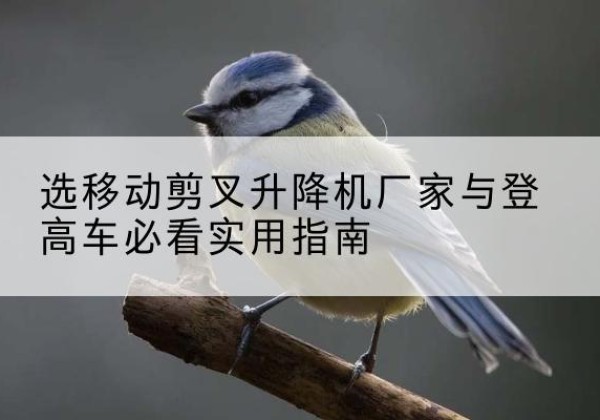 沙依巴克电动升降机厂家-选移动剪叉升降机厂家与登高车必看实用指南